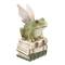 Mini Fairy Frog on Books Decoration by Ashland®